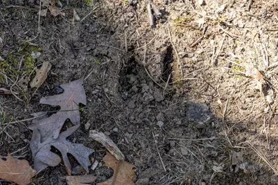 14714 Myers Lake Avenue NE #Parcel C, Cedar Springs, MI 49319 - Photo 13