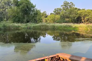 10989 Scio Church Rd, Chelsea, MI 48118 - Photo 59