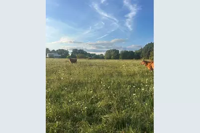 10989 Scio Church Road, Chelsea, MI 48118 - Photo 67