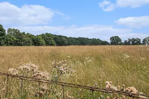 10989 Scio Church Rd, Chelsea, MI 48118 - Photo 53