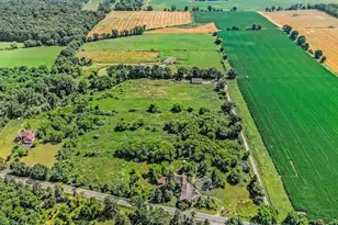 10989 Scio Church Rd, Chelsea, MI 48118 - Photo 75