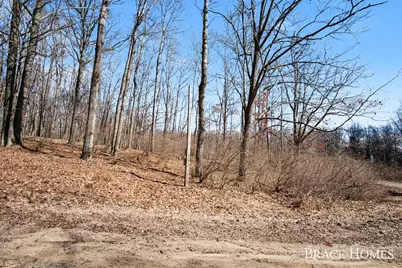 8426 Manitoba Street, Stanwood, MI 49346 - Photo 1