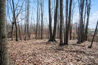 8426 Manitoba Street, Stanwood, MI 49346 - Photo 9