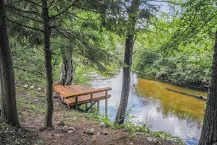 161 E Sauble Dr, Free Soil, MI 49411 - Photo 45