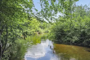 161 E Sauble Dr, Free Soil, MI 49411 - Photo 43