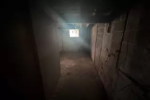 389 Genessee St, River Rouge, MI 48218 - Photo 27