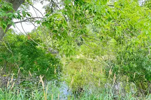 5818 US Hwy 31, Free Soil, MI 49411 - Photo 29