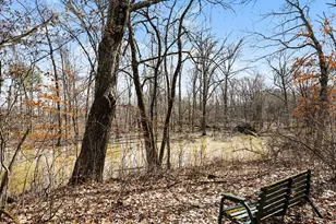 8392 Huff Rd, Bellevue, MI 49021 - Photo 23