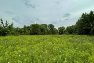 3685 Holcomb Rd, North Adams, MI 49262 - Photo 57