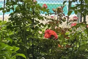 300 Farington Blvd, Holland, MI 49423 - Photo 21