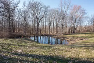 3534 Dexter Trail, Stockbridge, MI 49285 - Photo 45