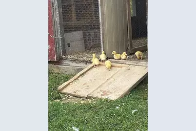 8433 Rolling, Grant, MI 49327 - Photo 15