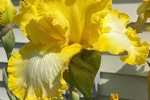 8433 Rolling Meadows, Grant Township, MI 48032 - Photo 11