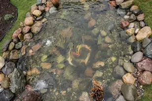 116 Longman Ln, Ann Arbor, MI 48103 - Photo 59