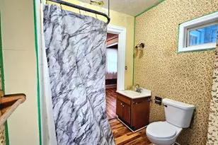 1113 E Cass St, Albion, MI 49224 - Photo 9