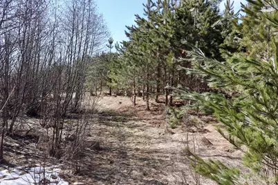 V/L 200th Avenue, Tustin, MI 49688 - Photo 19