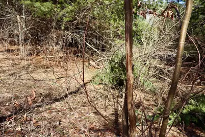 V/L 200th Avenue, Tustin, MI 49688 - Photo 17