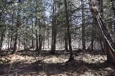 V/L 200th Avenue, Tustin, MI 49688 - Photo 39