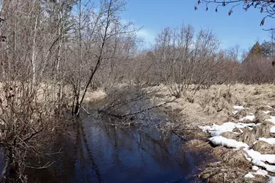 V/L 200th Avenue, Tustin, MI 49688 - Photo 15