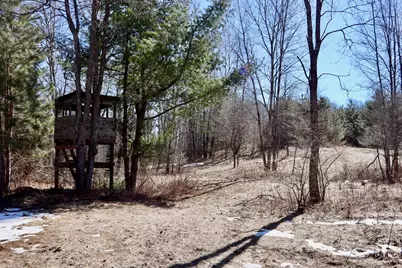 V/L 200th Avenue, Tustin, MI 49688 - Photo 31