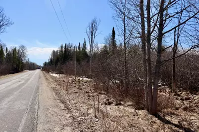 V/L 200th Avenue, Tustin, MI 49688 - Photo 41