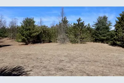 V/L 200th Avenue, Tustin, MI 49688 - Photo 21