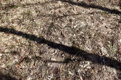 V/L 200th Avenue, Tustin, MI 49688 - Photo 23