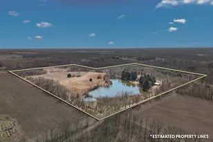 2175 Bird Lake Rd S, Osseo, MI 49266 - Photo 7