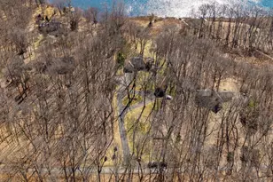 7343 Lucy Dr, Dexter, MI 48130 - Photo 95