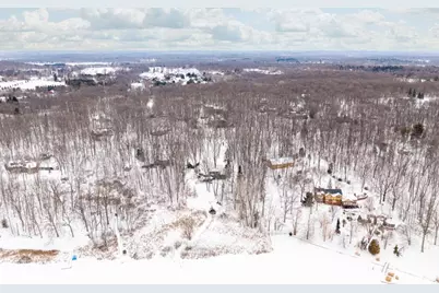 7343 Lucy Drive, Dexter, MI 48130 - Photo 93