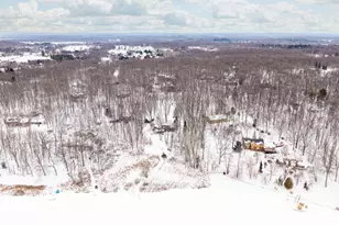 7343 Lucy Dr, Dexter, MI 48130 - Photo 93