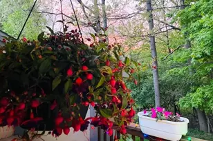 3008 Kay Dr SE, Grand Rapids, MI 49508 - Photo 27