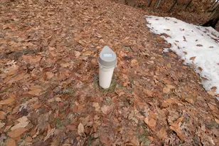 6557 S Woods Trail Rd, Custer, MI 49405 - Photo 27