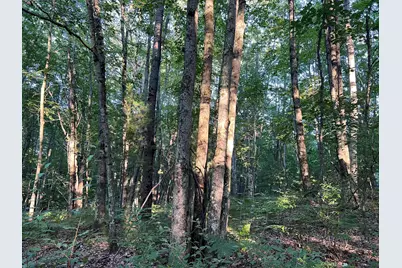 N Caribou Trail, Irons, MI 49644 - Photo 1