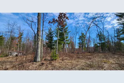 7746 N Woodbridge Road, White Cloud, MI 49349 - Photo 3