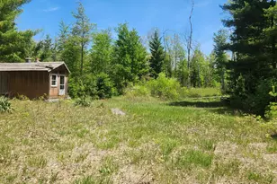 7746 N Woodbridge Rd, White Cloud, MI 49349 - Photo 1