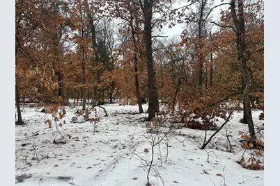 00 S Stanberry, Baldwin, MI 49304 - Photo 3