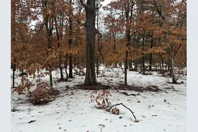 00 S Stanberry, Baldwin, MI 49304 - Photo 5