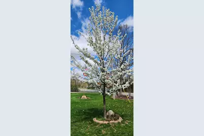 8471 45th Street SE, Ada, MI 49301 - Photo 63