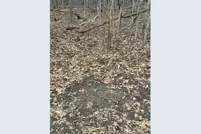 S Pittsford Road #0 V/L, Pittsford, MI 49271 - Photo 7