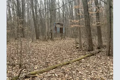 S Pittsford Road #0 V/L, Pittsford, MI 49271 - Photo 3