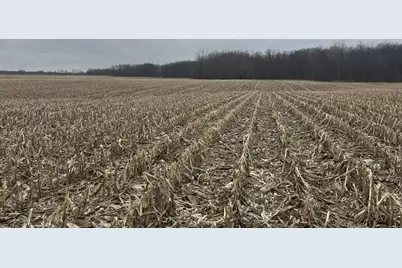 S Pittsford Road #0 V/L, Pittsford, MI 49271 - Photo 11