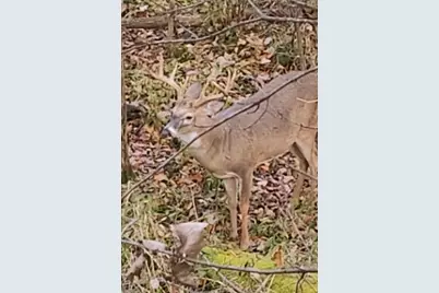 11173 I Drive S, Burlington, MI 49029 - Photo 53