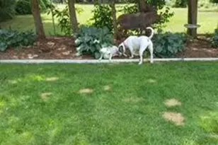 3825 Jupiter Ave NE, Grand Rapids, MI 49525 - Photo 35