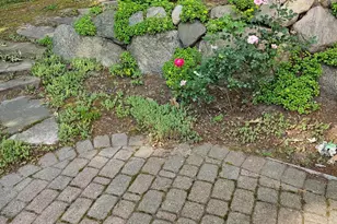 7987 Tiffany Ave NE, Rockford, MI 49341 - Photo 57