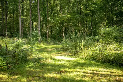 667 Pierce Road, Plainwell, MI 49080 - Photo 13