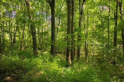 667 Pierce Road, Plainwell, MI 49080 - Photo 19