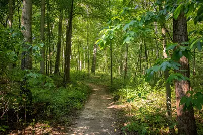 667 Pierce Road, Plainwell, MI 49080 - Photo 23