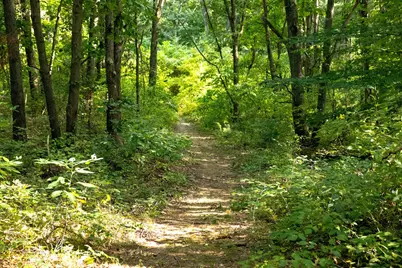 667 Pierce Road, Plainwell, MI 49080 - Photo 17