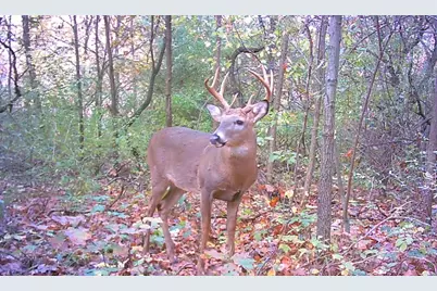 667 Pierce Road, Plainwell, MI 49080 - Photo 7